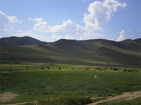 Vall�e de l'Orkhon