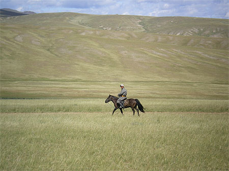 Cavalier mongol
