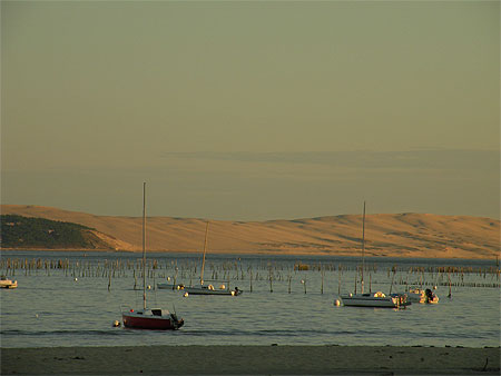 Bassin d'Arcachon