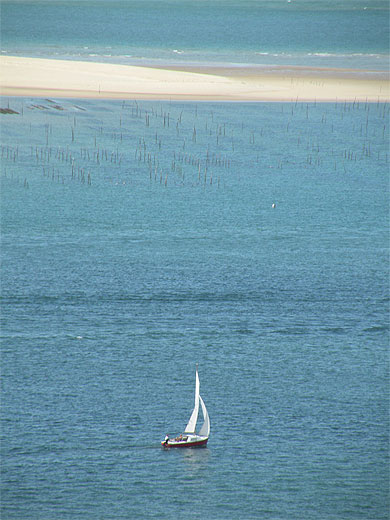 Bassin d'Arcachon
