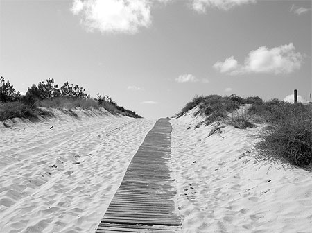 Bassin d'Arcachon