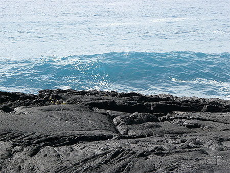 Entre terre et eau