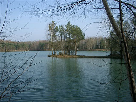 Promenade autour de l'�tang