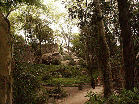 Bain de verdure dans le Castelo dos Mouros