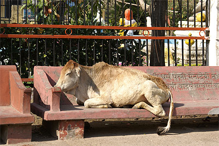 C'est bien plus confortable !