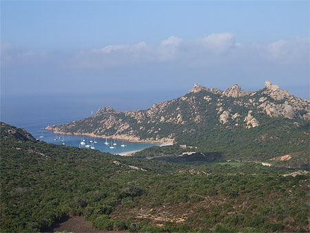 Le lion de Roccapina