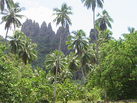 For&ecirc;t