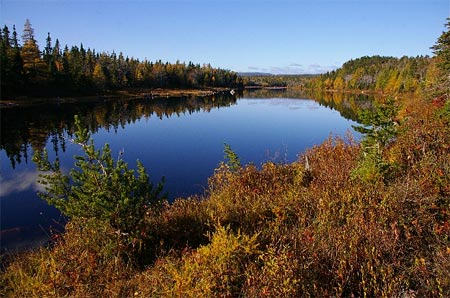 Les couleurs de l'automne