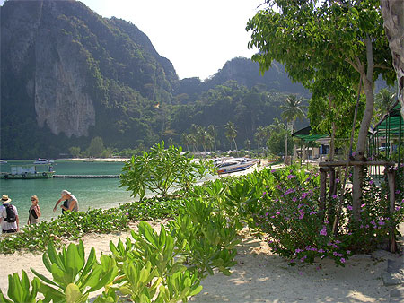 Phi Phi Island