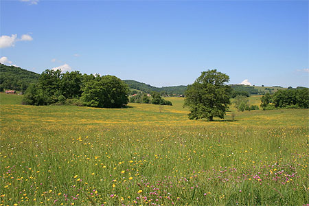La campagne Corr�zienne au printemps