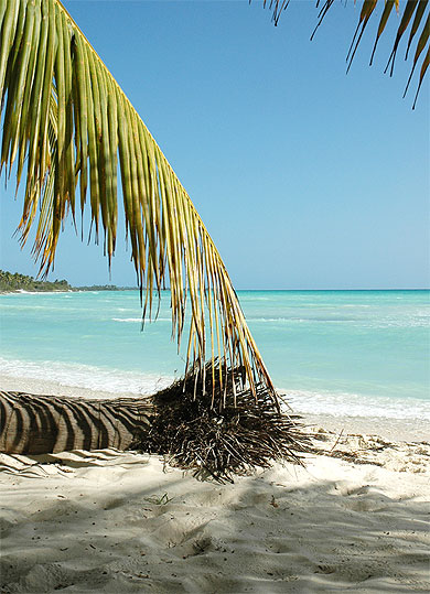 Ile Saona
