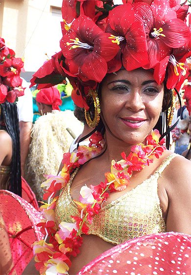 Madame Hibiscus
