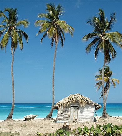 Petit coin de Paradis ...