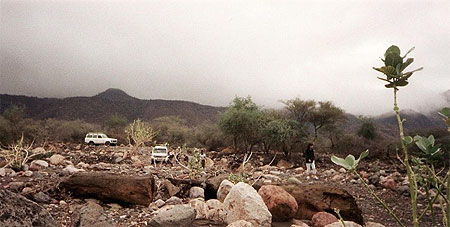 Sur la route de Djibouti ville
