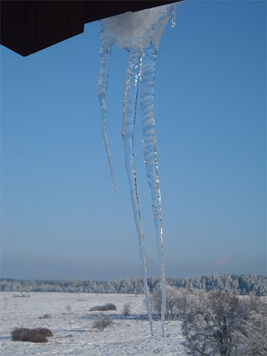 Hautes Fagnes en hiver
