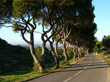 Route en Provence