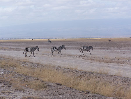 Tsavo Ouest