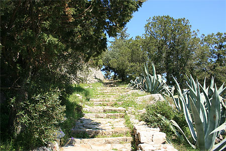 Parc National de Mljet