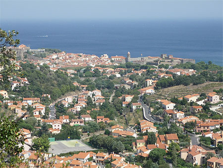 Collioure vu d'en haut
