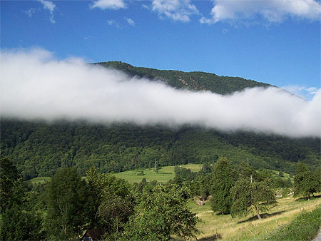 Echarpe de brume