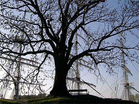 Christian Radich trois mats � Fredrikstad