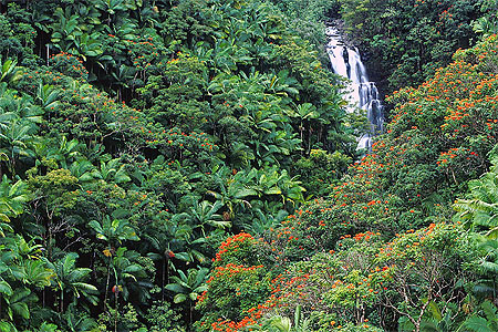 Hawaii Falls