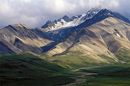 Denali Road