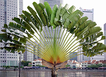 Marina Bay