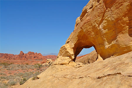 White domes