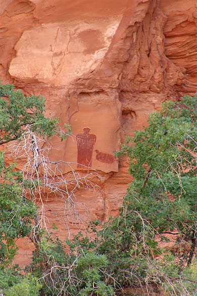 Hog spring petroglyphs