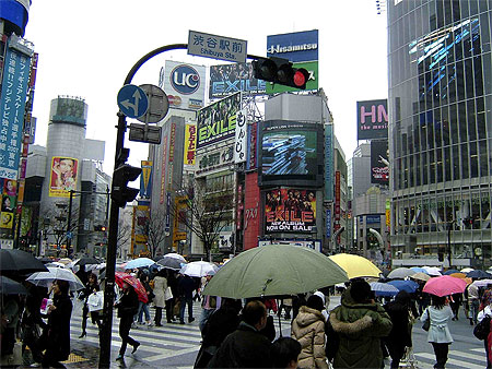 Shibuya crossing on a rainy day