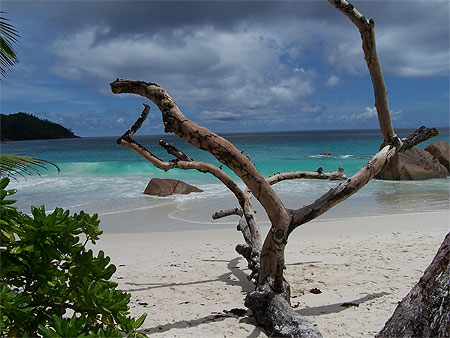 Anse Lazio