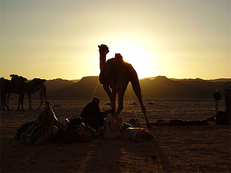 Bivouac
