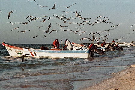 Pescadores en Celest�n