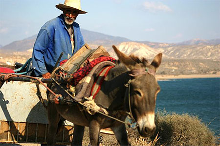 L'homme et son animal