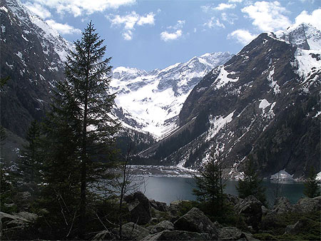 Lauvitel 