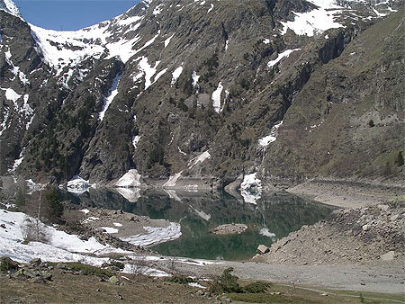 Le lauvitel