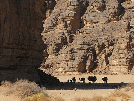 Caravane du tassili n'ajjer