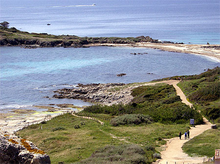 Plage sauvage