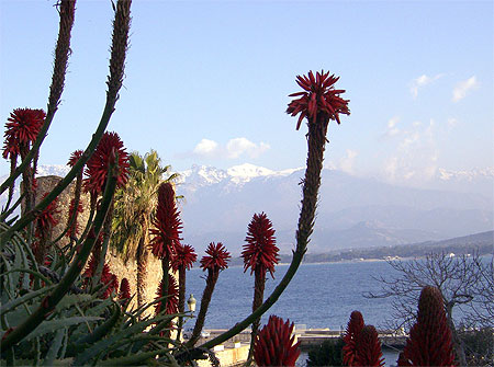 Bient�t le printemps