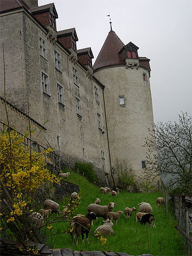 Gruy�res et son ch�teau