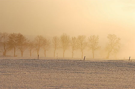 Brume hivernale