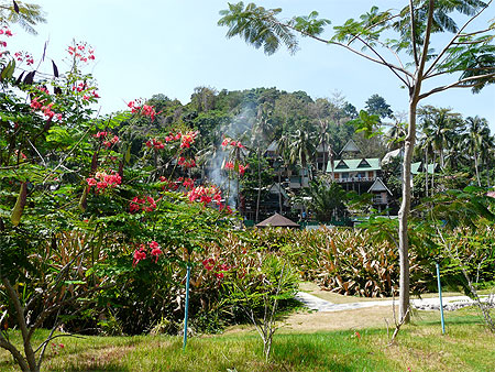 Habitations � Ko Phi Phi