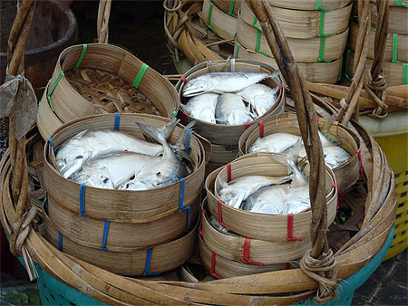 Poissons frais...