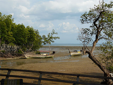 Mar�e basse � Railay