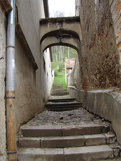Sighişoara