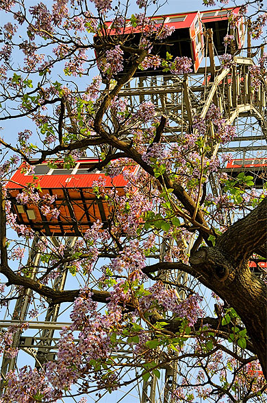 La grande roue du Prater