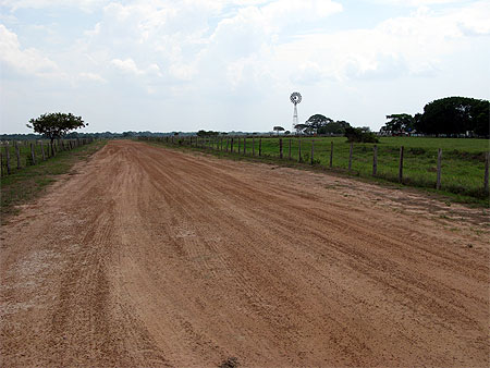 Grande plaine : los Llanos
