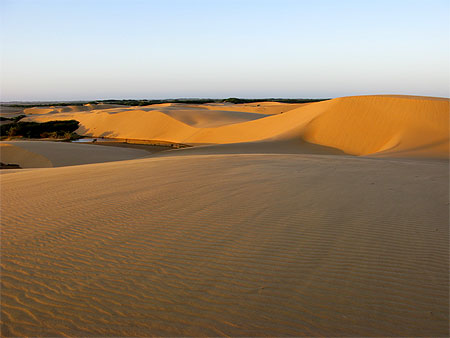 Dunes de Coro : los M�danos