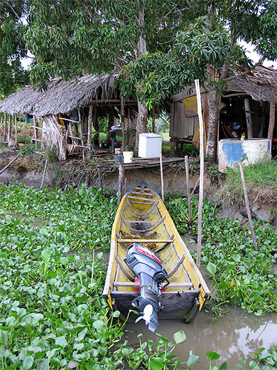 Pirogue Warao